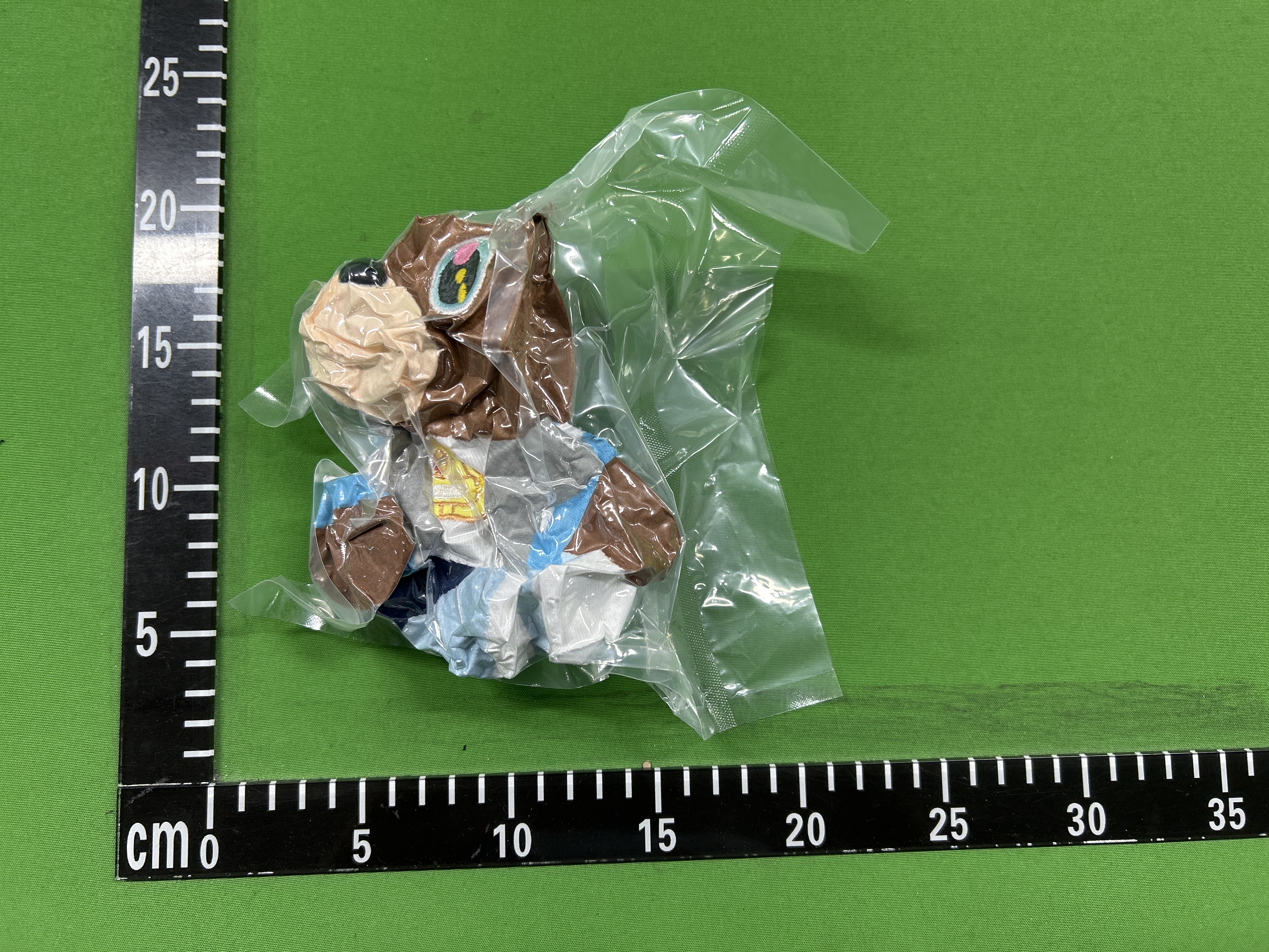 QC Photo 2